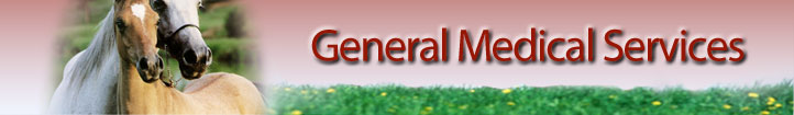 General Medical Services