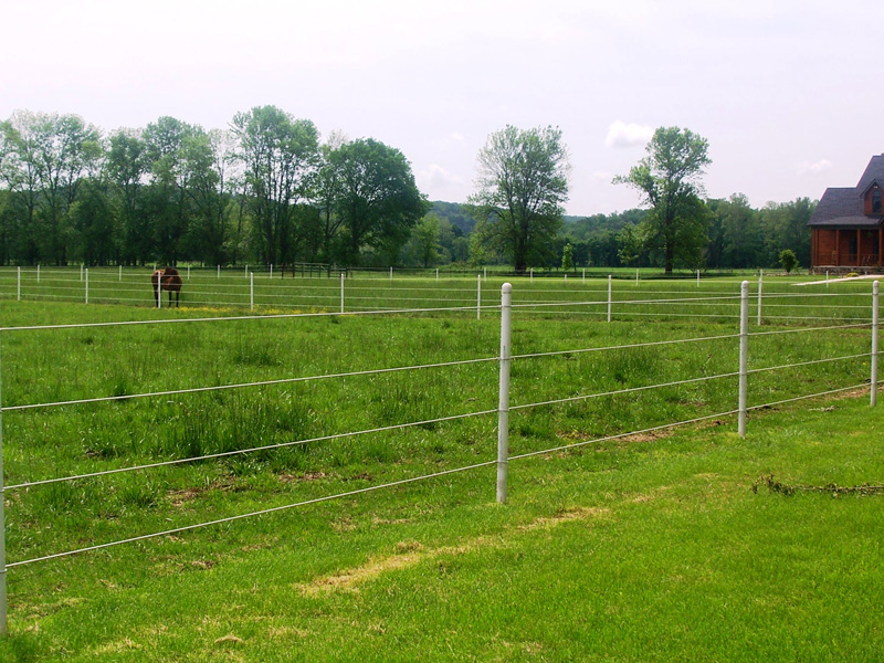 facility-3 Outdoor grass paddocks for patient housing